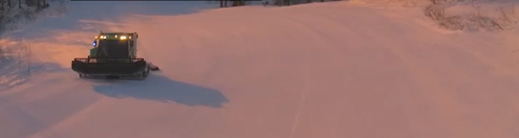 キャットツアー